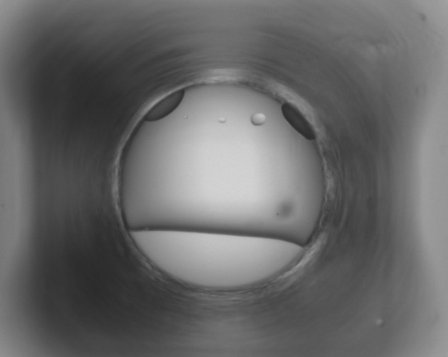 X0000102301473200807251011