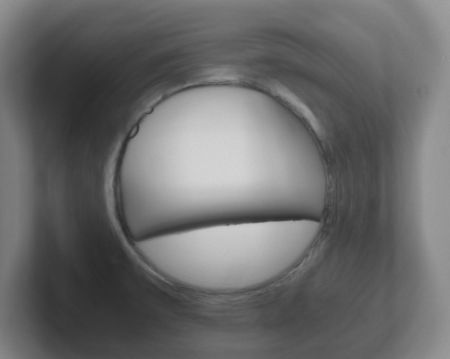 X0000102301475200807251011