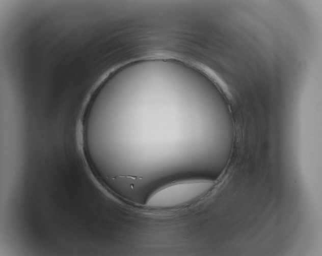 X0000102301476200807251011