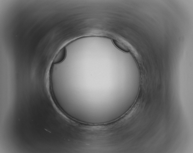 X0000102301479200807251011