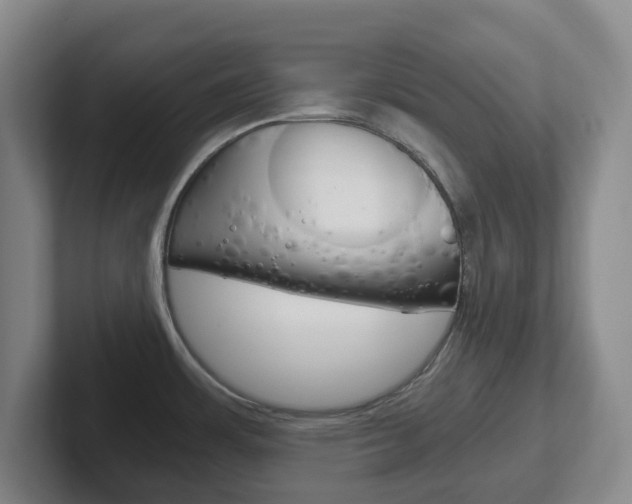 X0000102301483200807251011