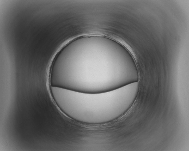 X0000102301485200807251011