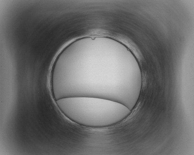 X0000102301486200807251011