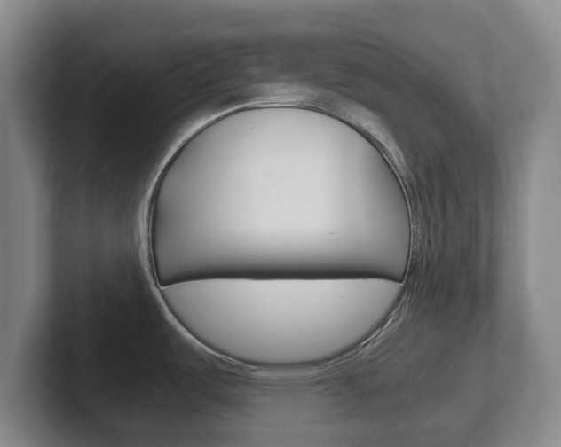 X0000102301487200807251011