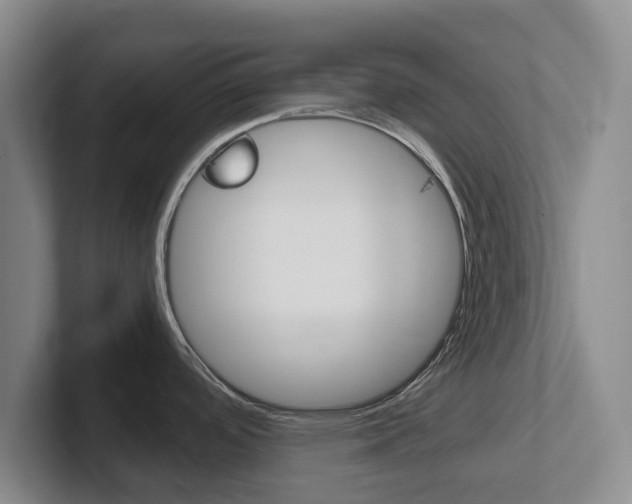 X0000102301488200807251011