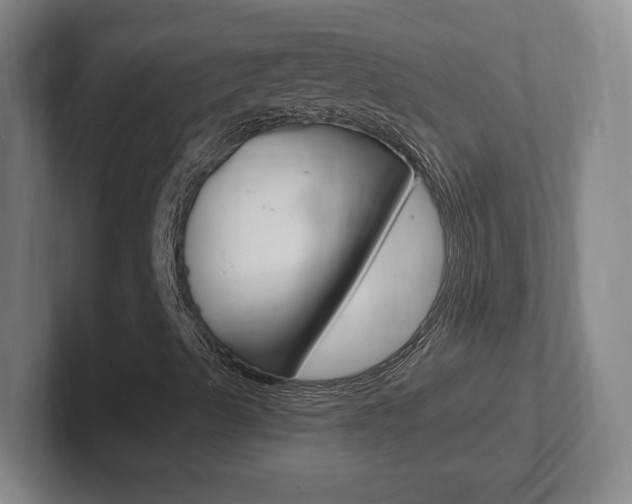 X0000102301489200807251010