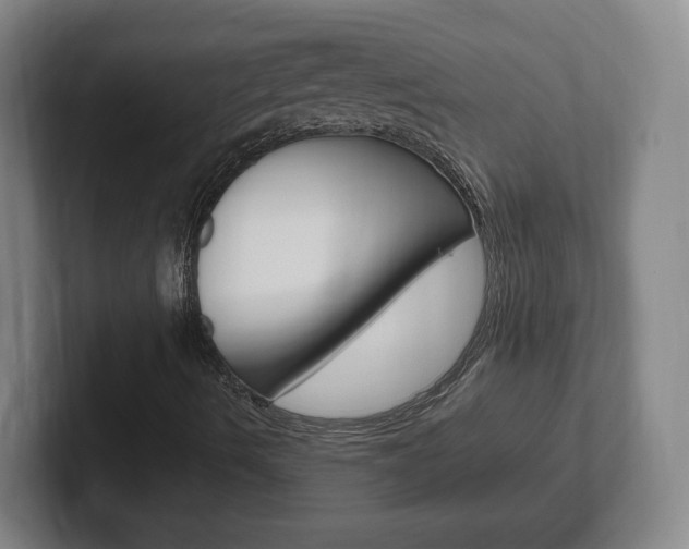 X0000102301490200807251010