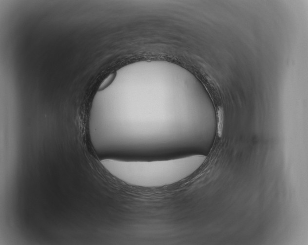 X0000102301491200807251010