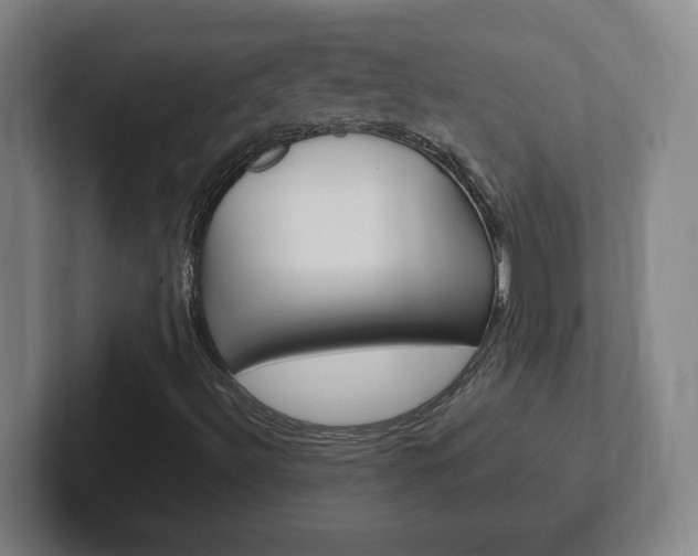 X0000102301492200807251010