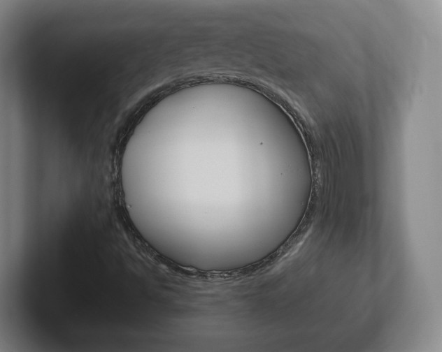 X0000102301494200807251010