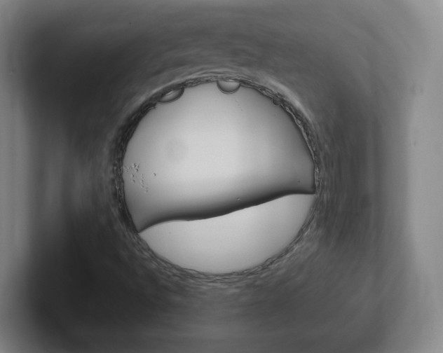 X0000102301496200807251010