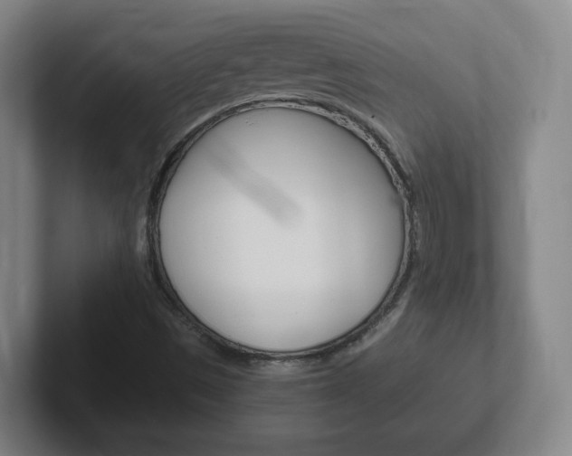 X0000102301497200807251010