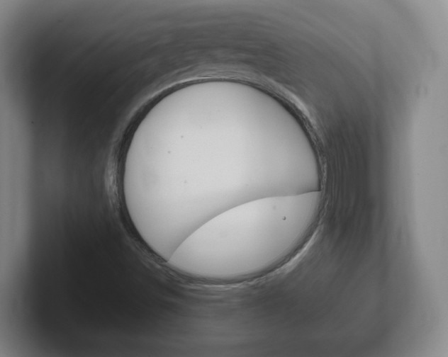 X0000102301498200807251010