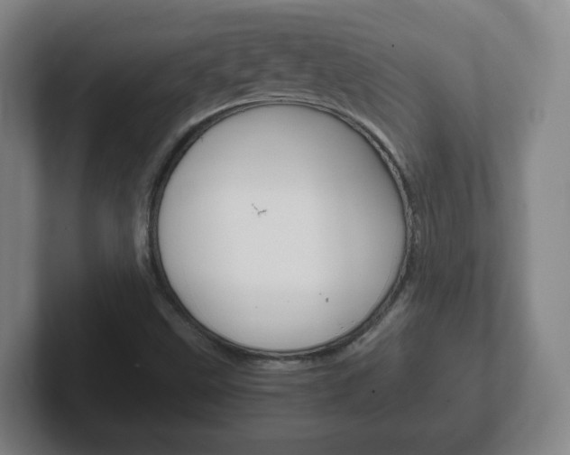 X0000102301499200807251010