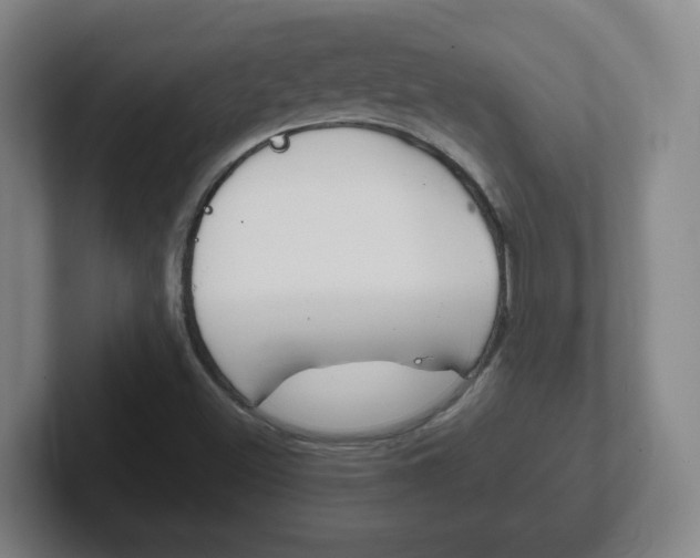 X0000102301500200807251010