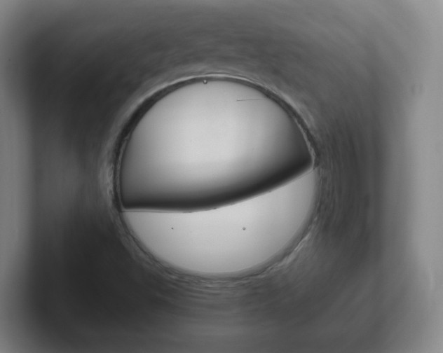 X0000102301503200807251011