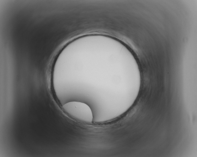 X0000102301504200807251011