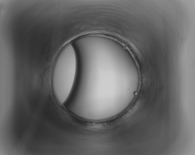 X0000102301505200807251011