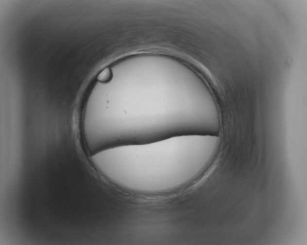 X0000102301506200807251011