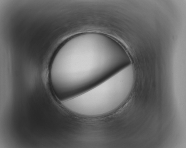 X0000102301507200807251011