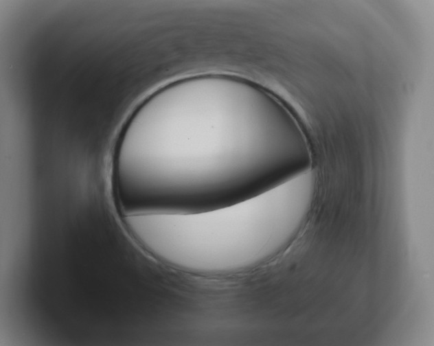 X0000102301508200807251011