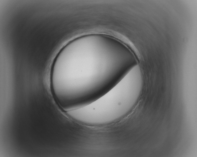 X0000102301512200807251011