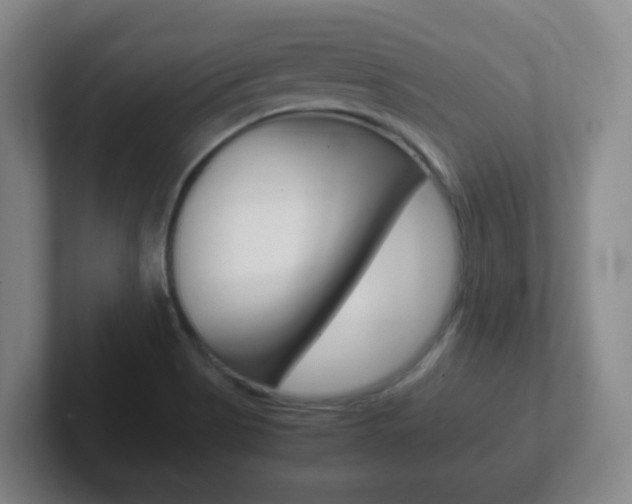 X0000102301513200807251011