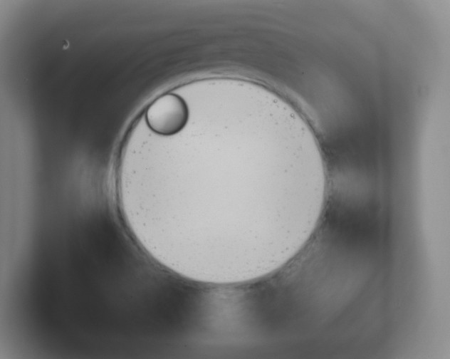X0000102301514200807251011