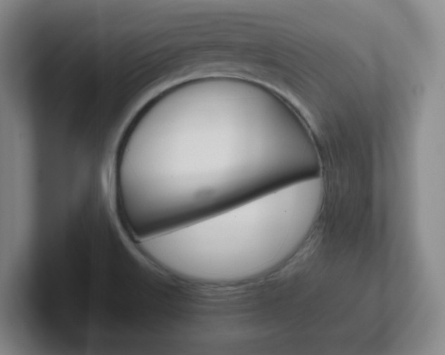 X0000102301515200807251011