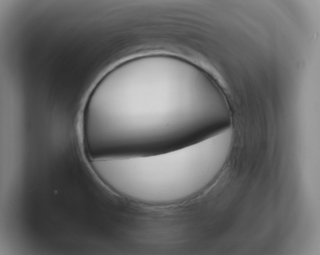 X0000102301516200807251011