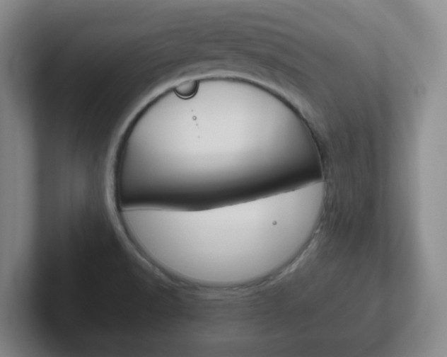 X0000102301518200807251011