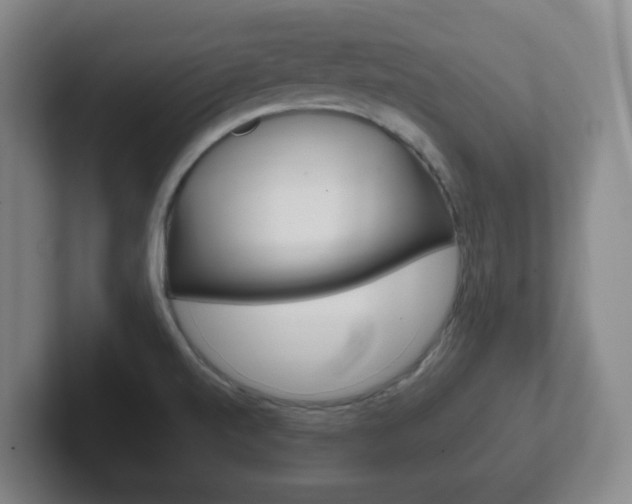 X0000102301520200807251011