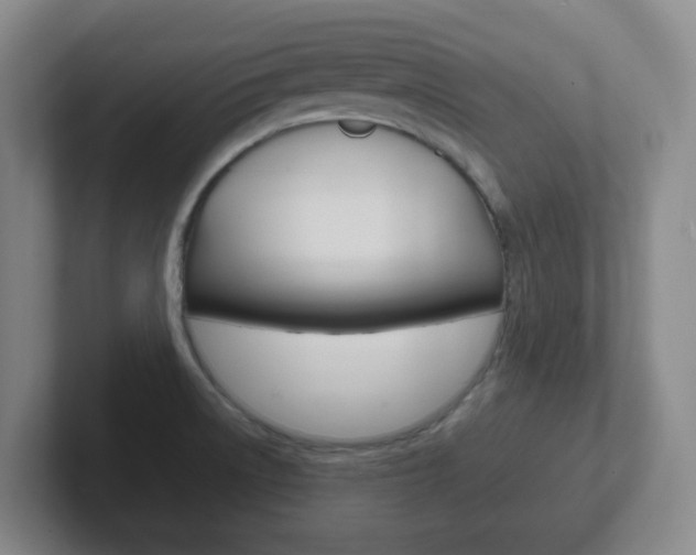 X0000102301522200807251011