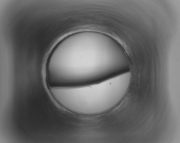 X0000102301523200807251011