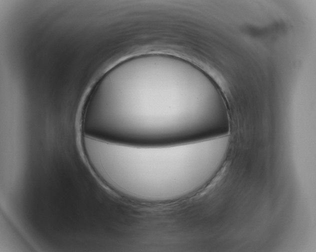 X0000102301525200807251011