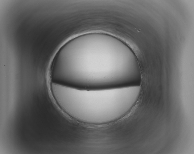 X0000102301526200807251011