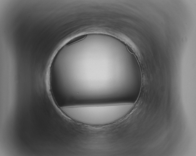 X0000102301528200807251011