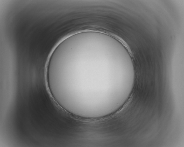 X0000102301530200807251011
