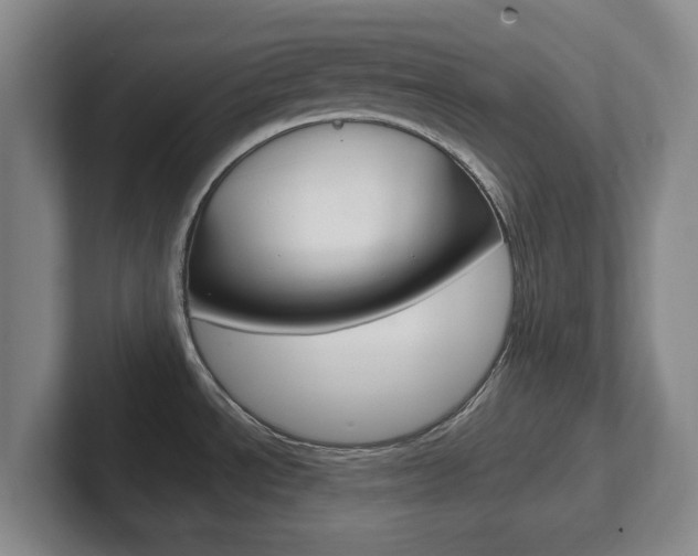 X0000102301534200807251011
