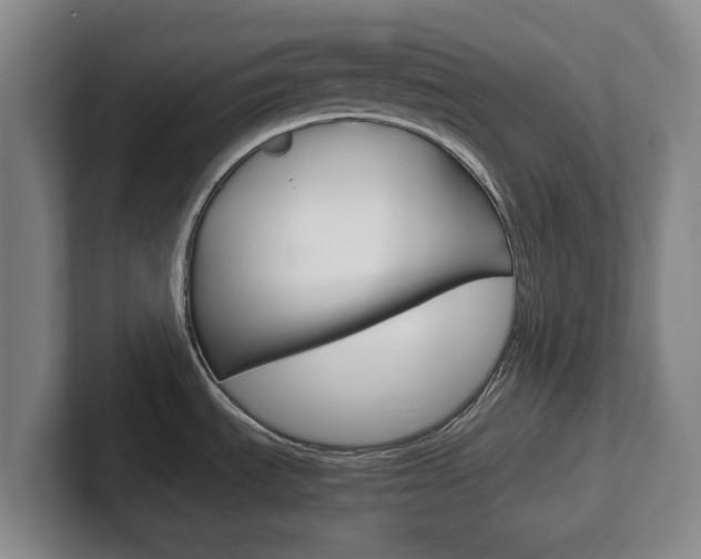 X0000102301535200807251011