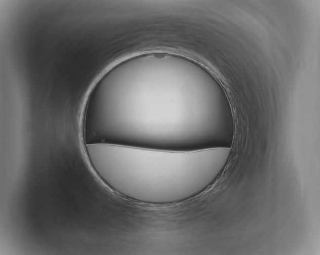X0000102301536200807251011
