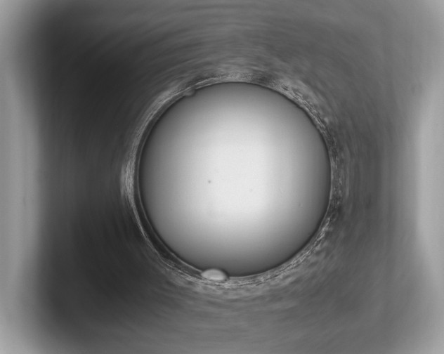 X0000102300003200807251444