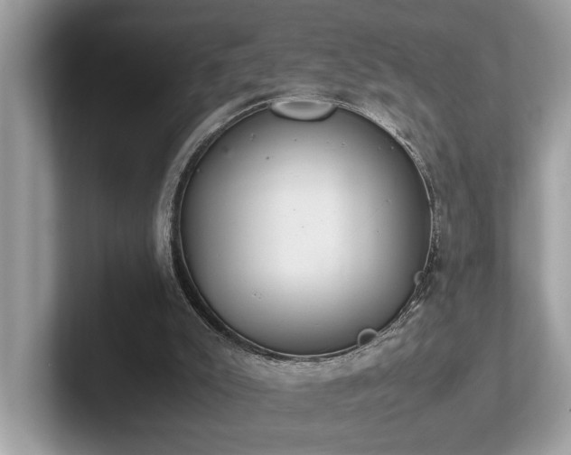 X0000102300007200807251444