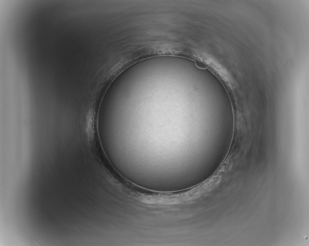 X0000102300009200807251444