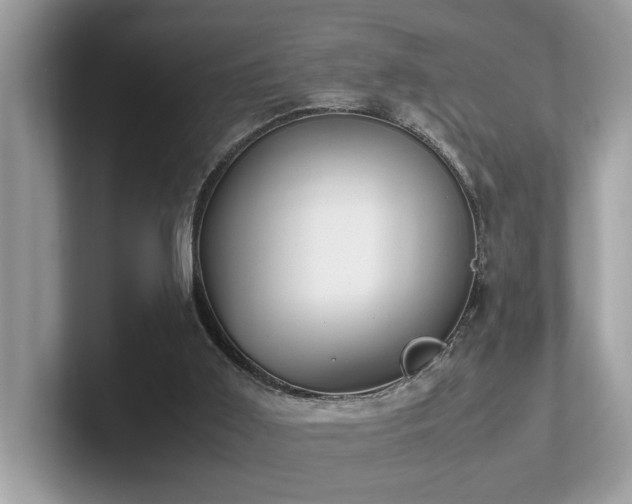 X0000102300011200807251444