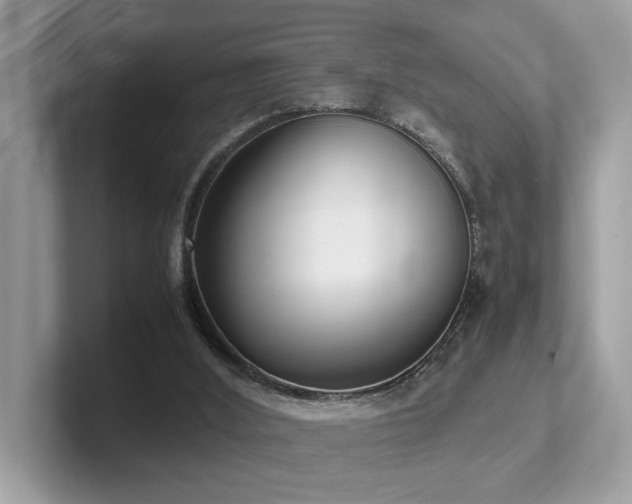 X0000102300012200807251444