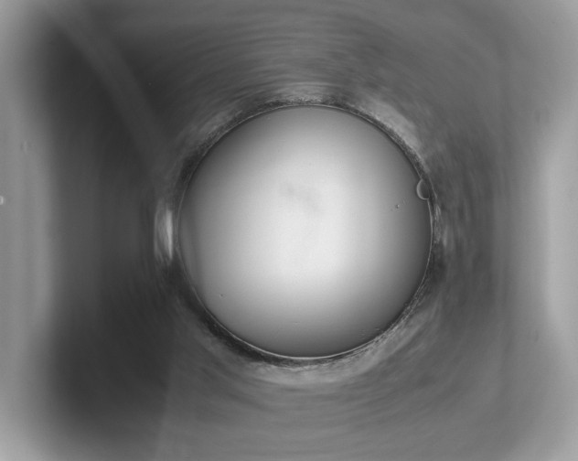 X0000102300013200807251444