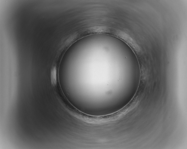 X0000102300014200807251444