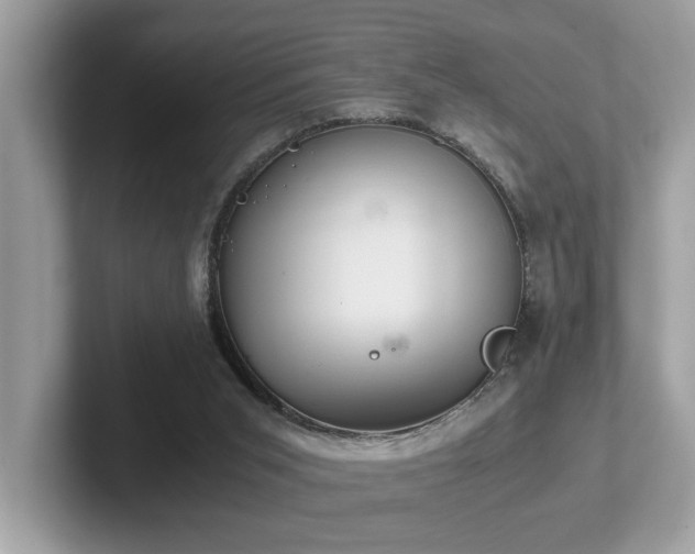 X0000102300015200807251444