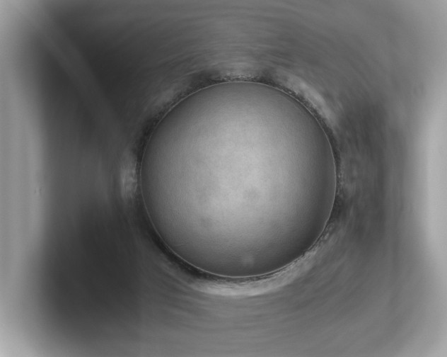 X0000102300017200807251444